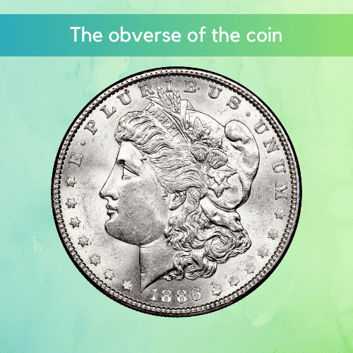 The 1886 Morgan Silver Dollar - The Coin Features and Characteristics The obverse of the coin