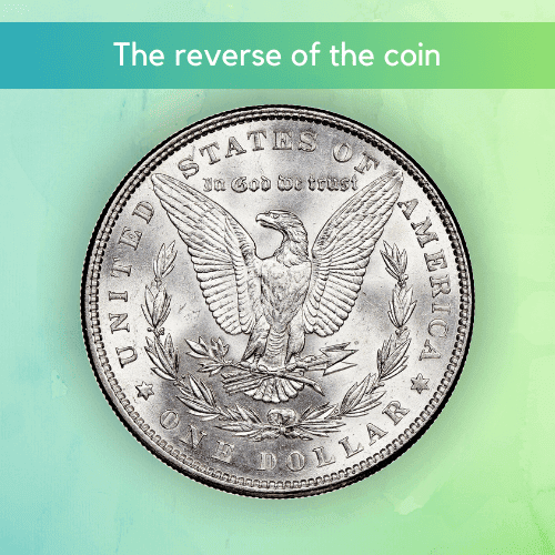 The 1886 Morgan Silver Dollar - The Coin Features and Characteristics The reverse of the coin